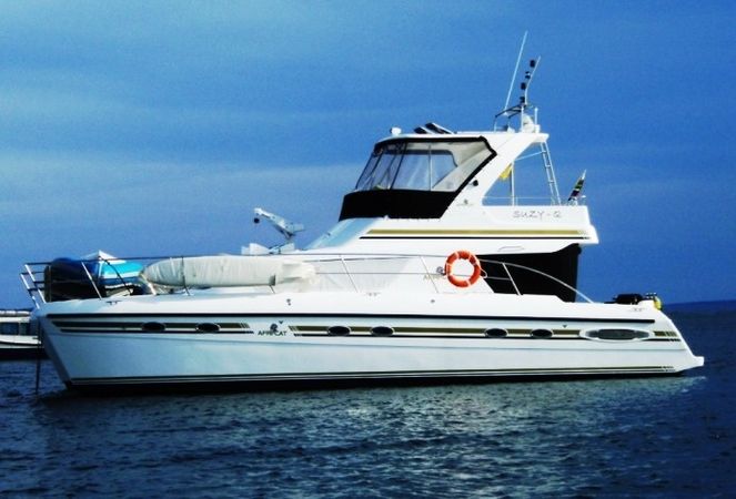 Africat 420 | Suzy Q