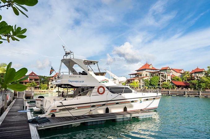 Africat 420 | Suzy Q