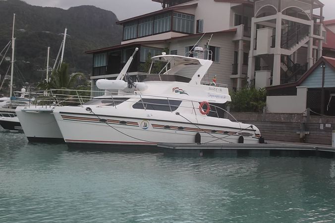 Africat 420 | Suzy Q