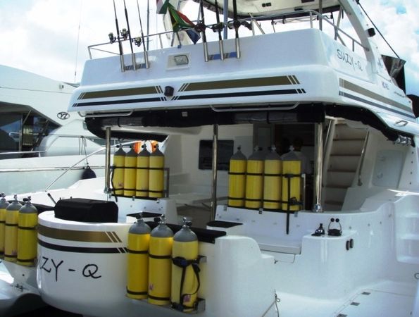 Africat 420 | Suzy Q