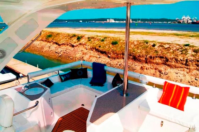 Africat 420 | Suzy Q