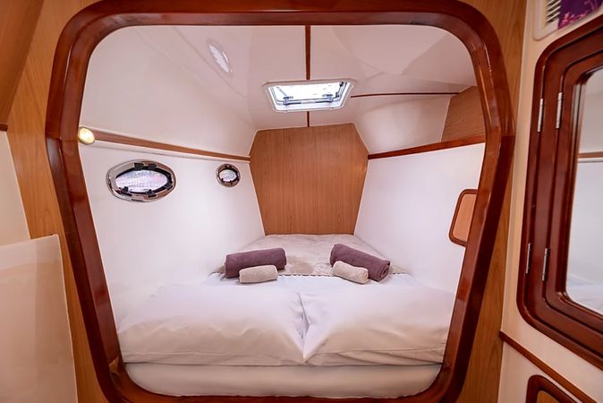 Africat 420 | Suzy Q