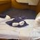 Jeanneau Sun Odyssey 389 | Sunsail 20