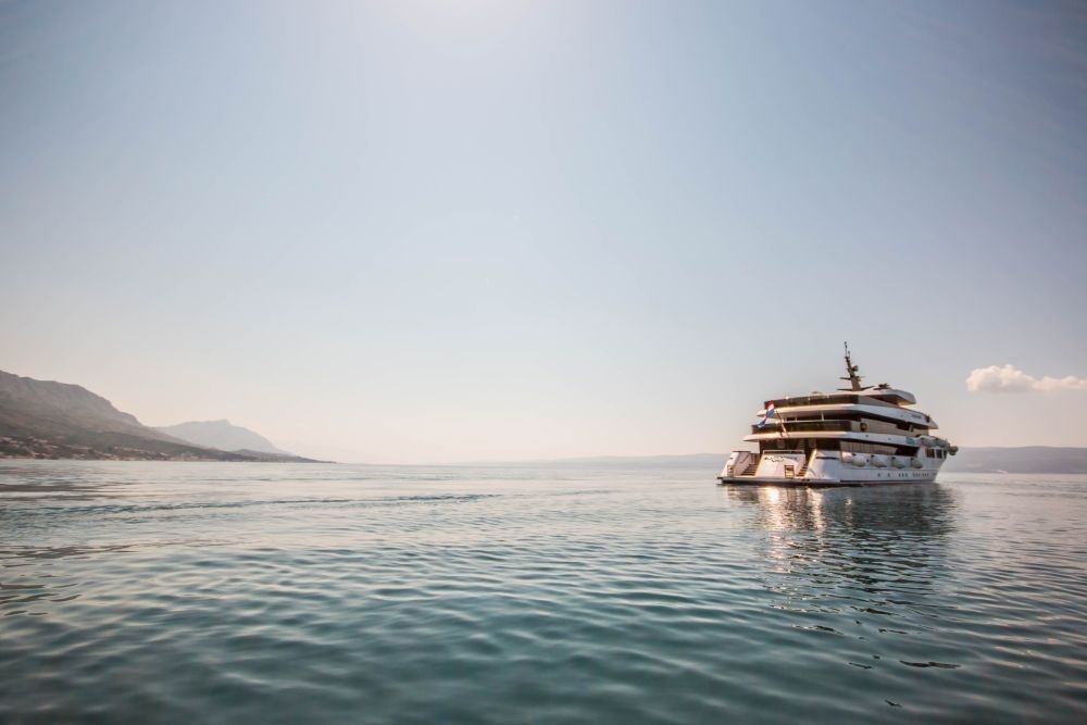 Custom Built 157 | Black Swan