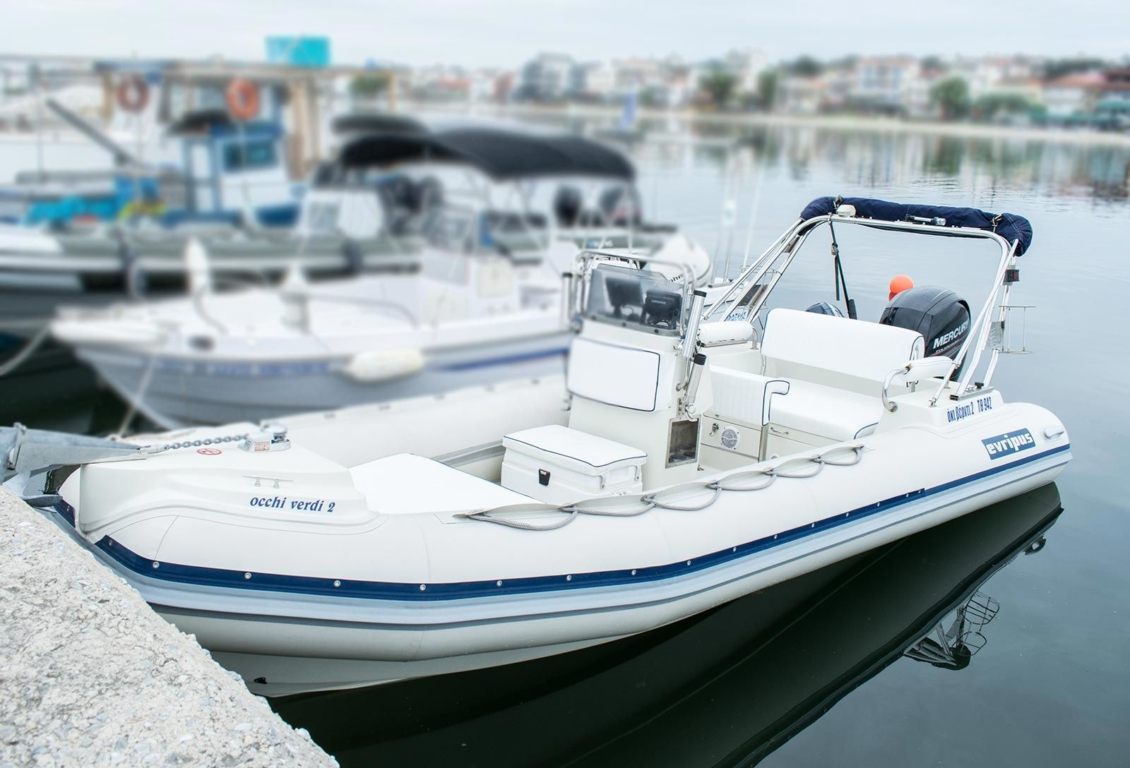 Evripus 19 | Occhi Verdi 2