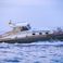 Naval Tecnica Speranza Levi 40 | Migs