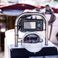 Dufour Gib Sea 43 | Andromeda