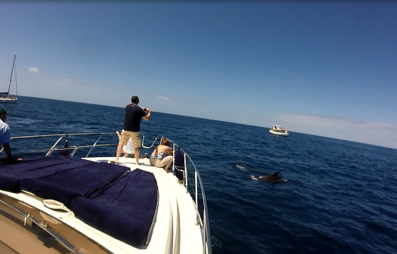 Princess Riviera | Don Guorri Vijapi