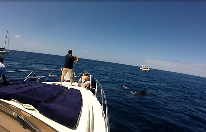 Princess Riviera | Don Guorri Vijapi