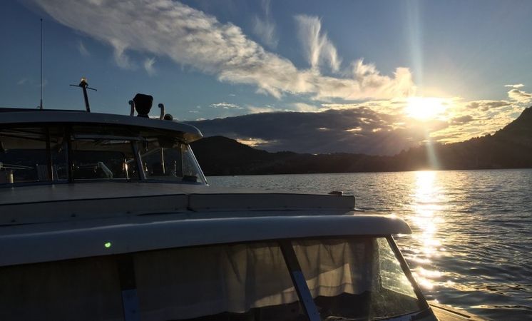 Picchiotti Giglio | Mizar III