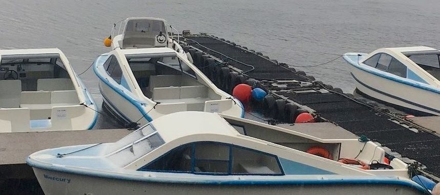 Custom Built 22 | Mercury