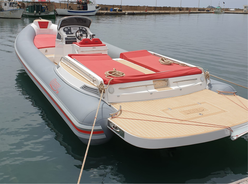 Noah Battelli 29 | Noah