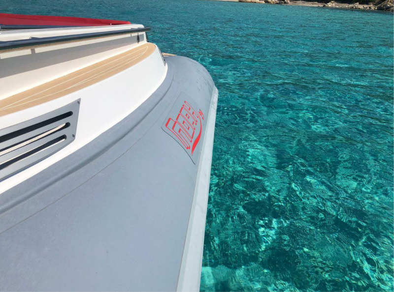 Noah Battelli 29 | Noah