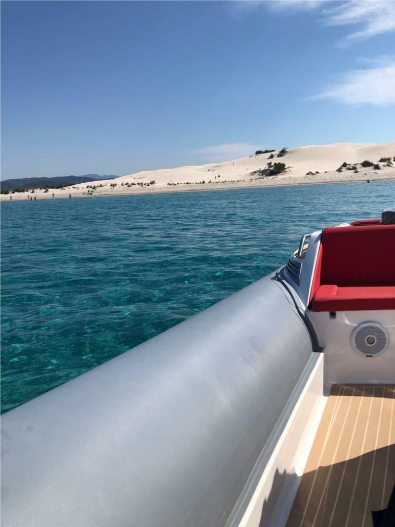 Noah Battelli 29 | Noah