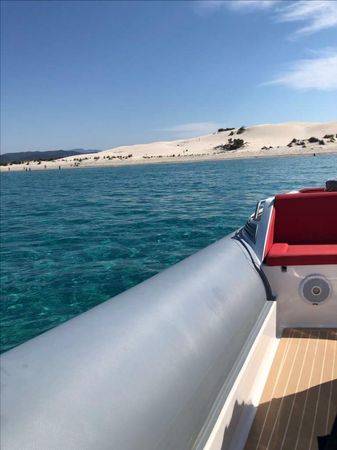 Noah Battelli 29 | Noah