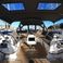 Bavaria C42 | Lizzy