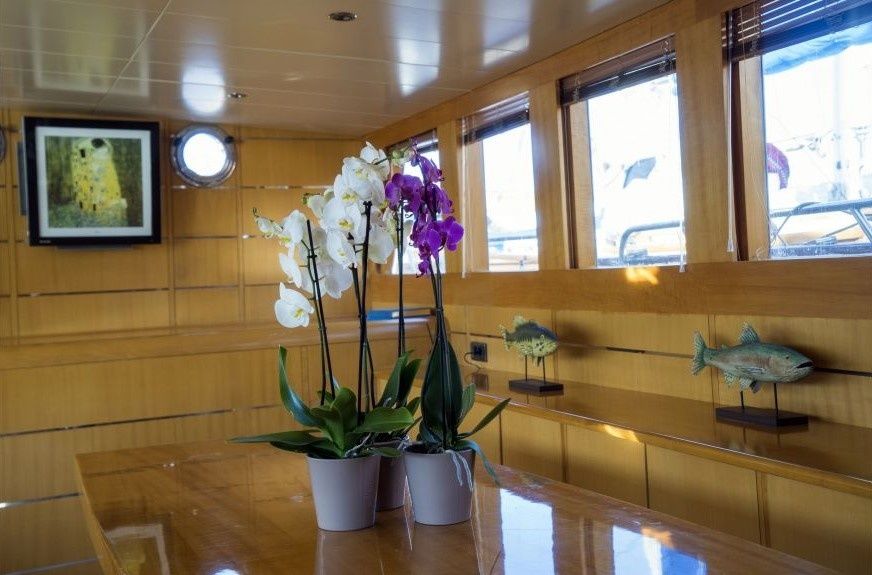 Gulet 111 | Lets Dance