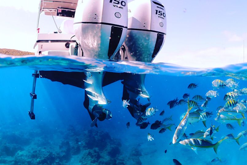 Dusky Technicraft | Irie