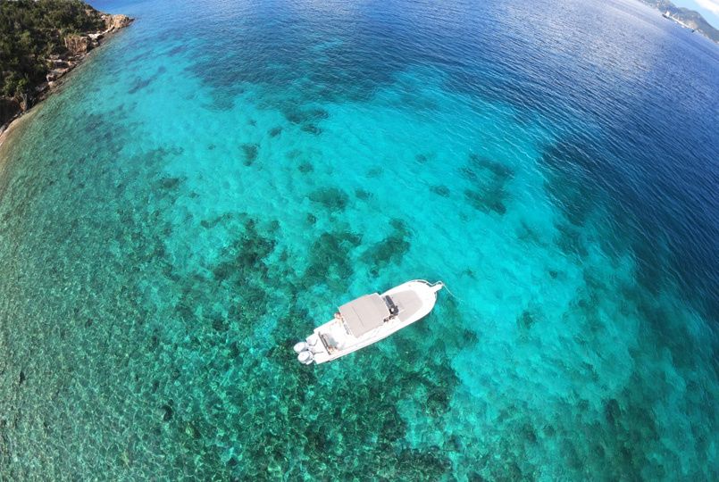 Dusky Technicraft | Irie