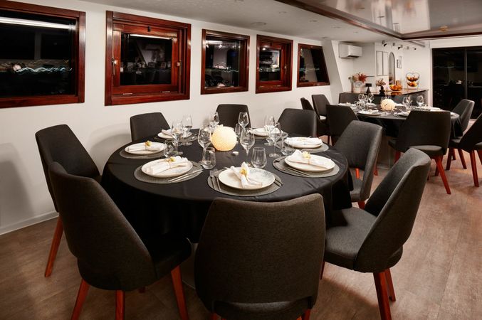 Custom Built Mini Cruiser | Lupus Mare