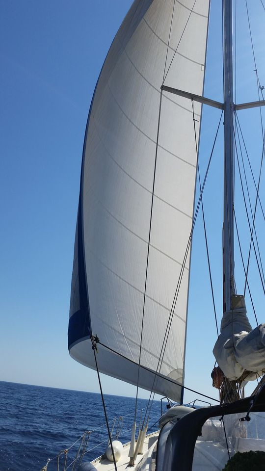 Atlantic 49 | Blueline 3