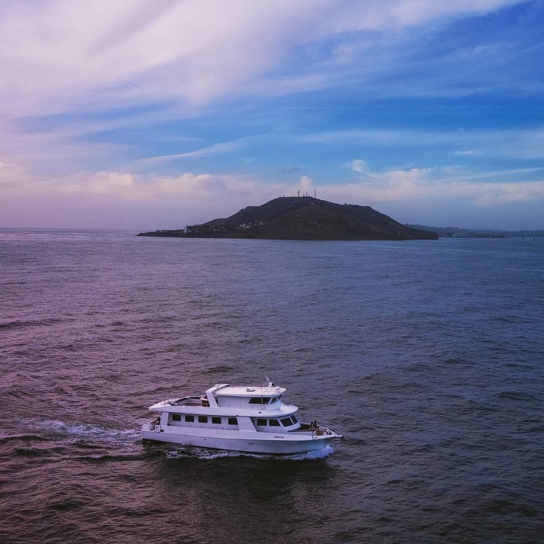 Bonner Navigator 73 | Nerissa