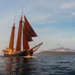 Staatskanal Dutch Schooner | Adelaar