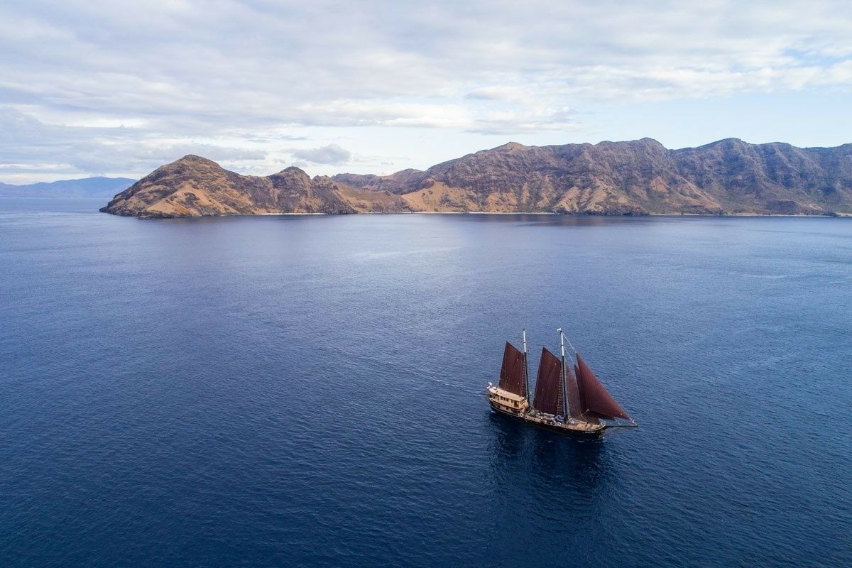Staatskanal Dutch Schooner | Adelaar