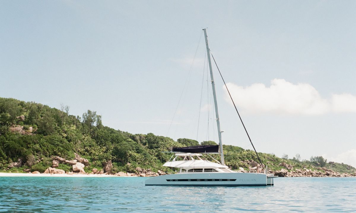 Two Oceans 63 | Pelican