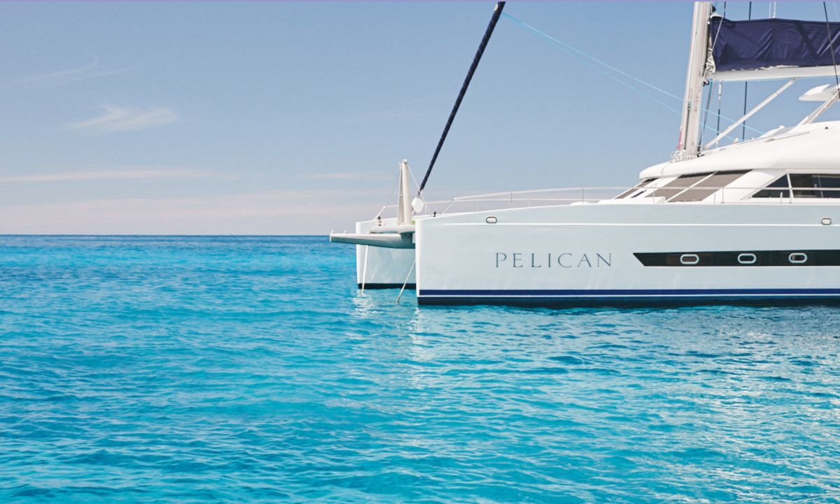 Two Oceans 63 | Pelican
