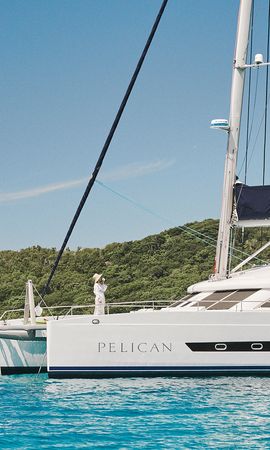 Two Oceans 63 | Pelican