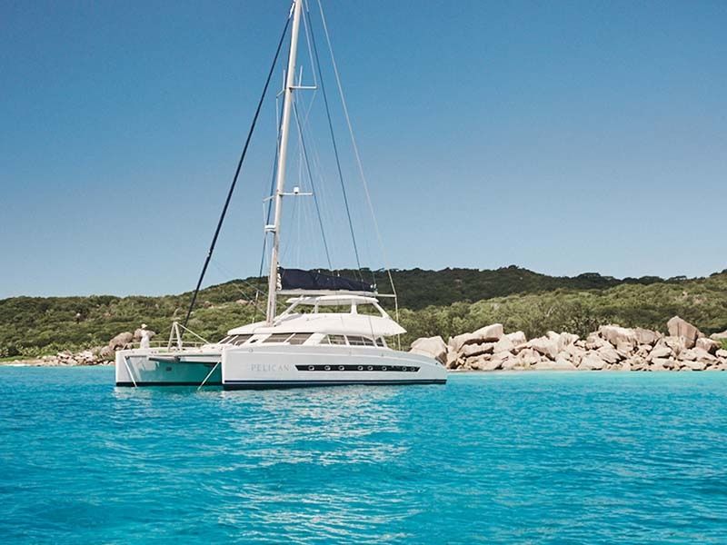 Two Oceans 63 | Pelican