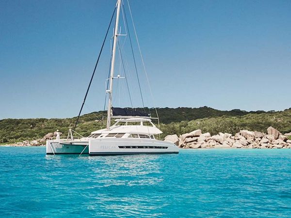 Two Oceans 63 | Pelican