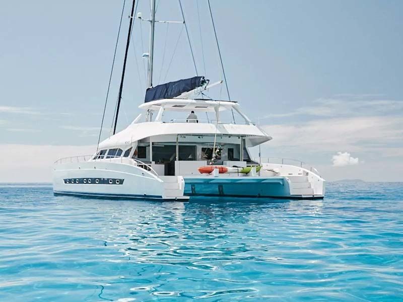 Two Oceans 63 | Pelican