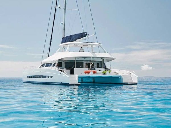 Two Oceans 63 | Pelican