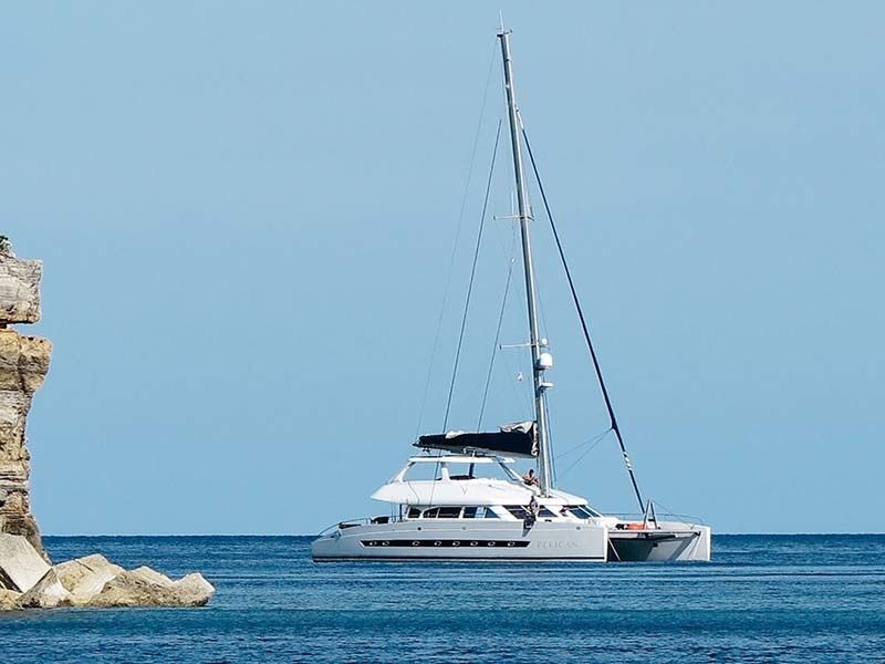 Two Oceans 63 | Pelican