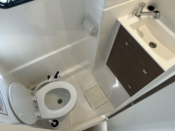 Bali Catspace | Day Dream