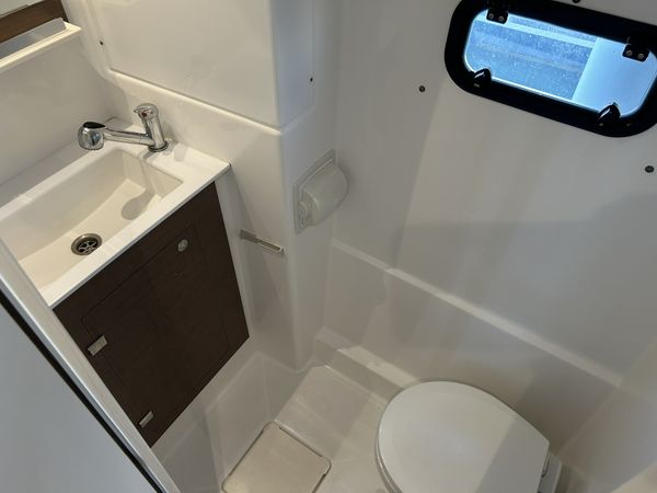 Bali Catspace | Day Dream