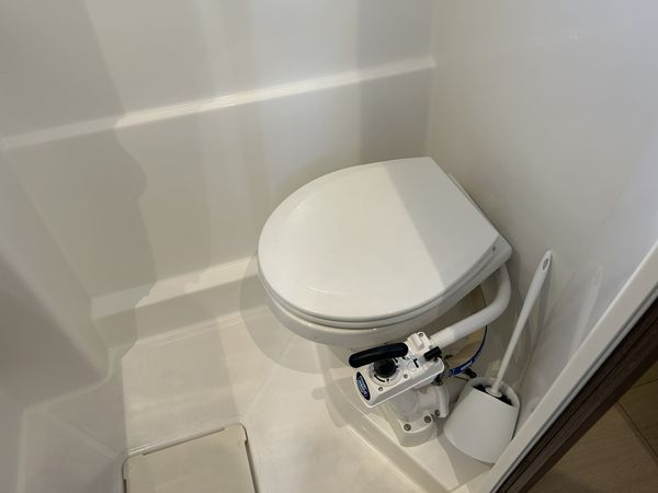 Bali Catspace | Day Dream