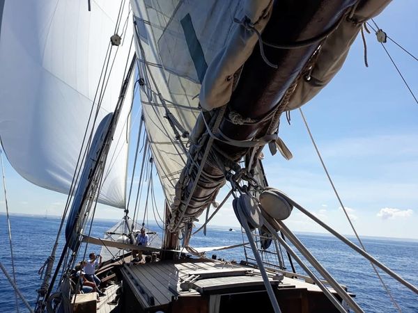 Gulet 98 | Rafael Verdera