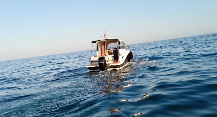 Quicksilver 755 Weekend | Fuerte