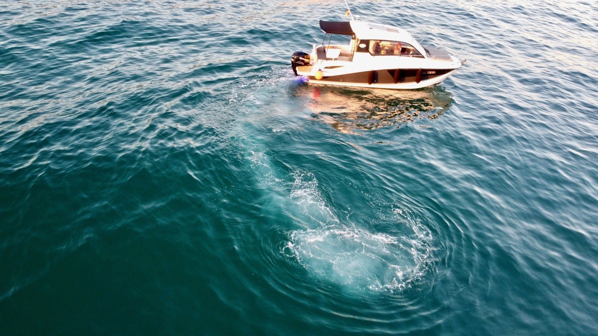 Quicksilver 755 Weekend | Fuerte