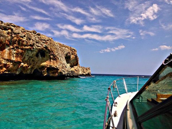 Gobbi 315 SC | Lore 2