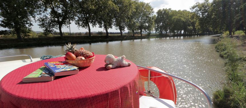 Nicols Confort 1100 | Ch de Villeneuve