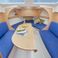 Delphia Nano | Les Canalous 15