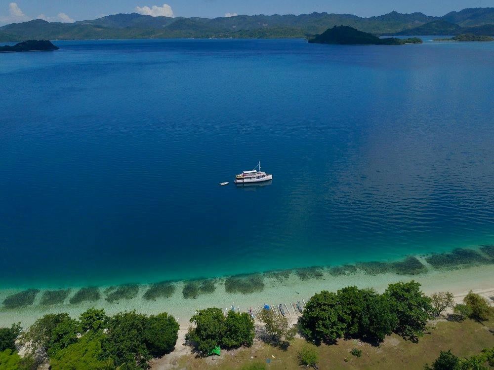 Custom Built 65 | Splendour