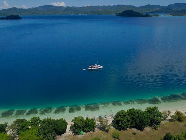 Custom Built 65 | Splendour