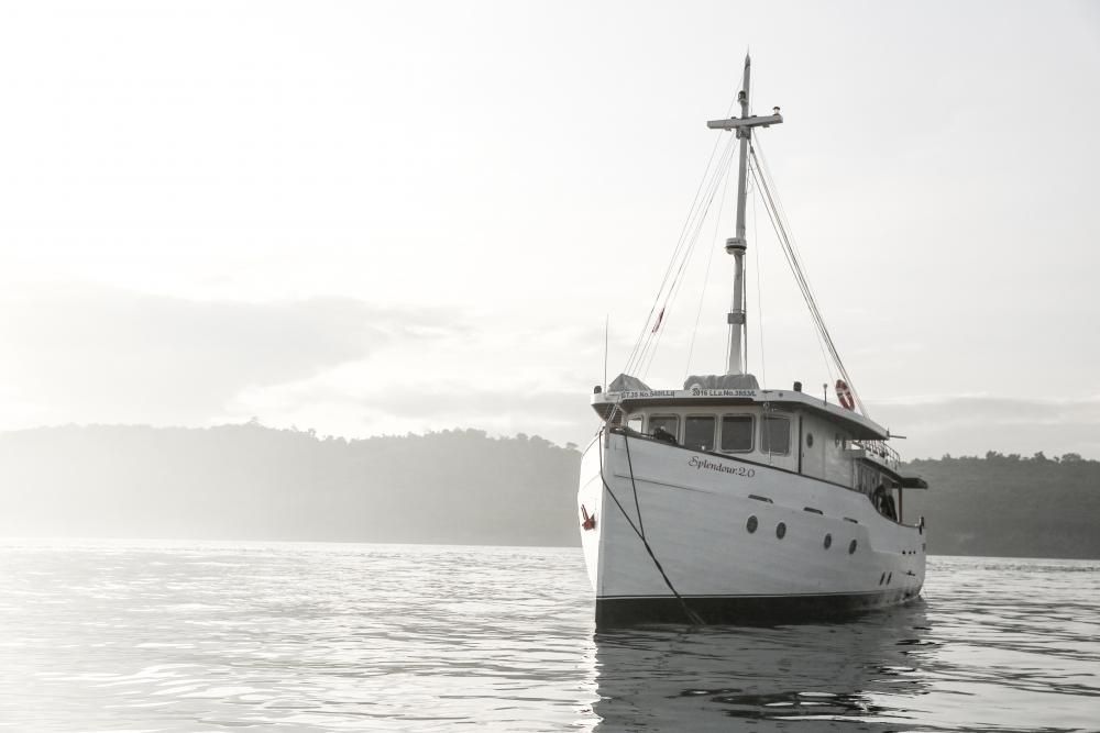 Custom Built 65 | Splendour