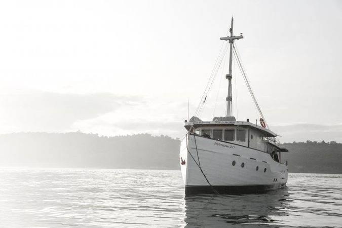 Custom Built 65 | Splendour