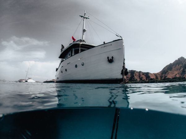 Custom Built 65 | Splendour